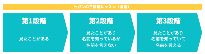 【モンテッソーリ教育】セガンの3段階レッスン｜言葉がけ